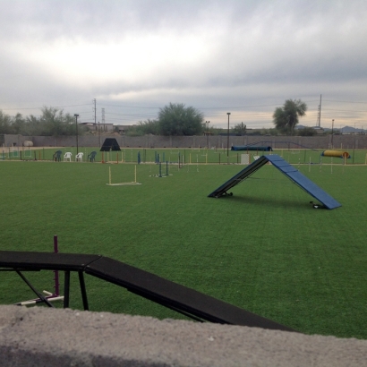 Fake Grass Pirtleville, Arizona Sports Athority, Recreational Areas