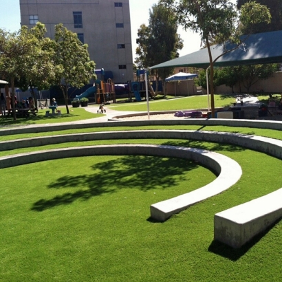 Fake Grass Vaiva Vo, Arizona Paver Patio, Commercial Landscape