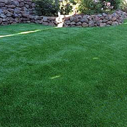 Fake Lawn Gadsden, Arizona Pet Paradise, Backyard Landscape Ideas