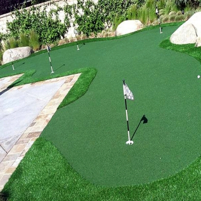 Fake Lawn Palominas, Arizona Artificial Putting Greens, Backyard Designs