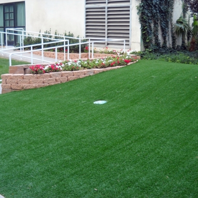 Fake Lawn Wellton, Arizona Office Putting Green, Small Front Yard Landscaping