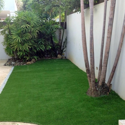 Faux Grass Globe, Arizona Landscape Photos, Small Backyard Ideas