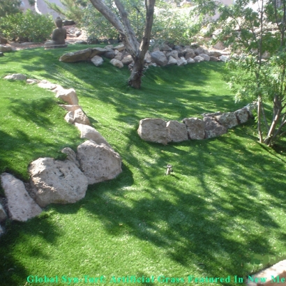 Faux Grass Guadalupe, Arizona Design Ideas, Commercial Landscape