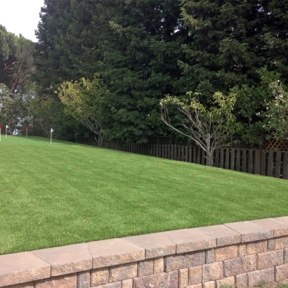 Faux Grass Yarnell, Arizona Outdoor Putting Green, Backyard Designs