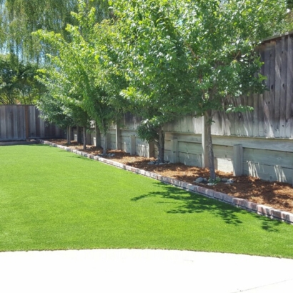 Grass Carpet Casas Adobes, Arizona Paver Patio, Commercial Landscape