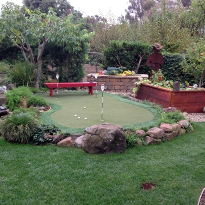 Grass Carpet Cedar Creek, Arizona City Landscape, Small Backyard Ideas