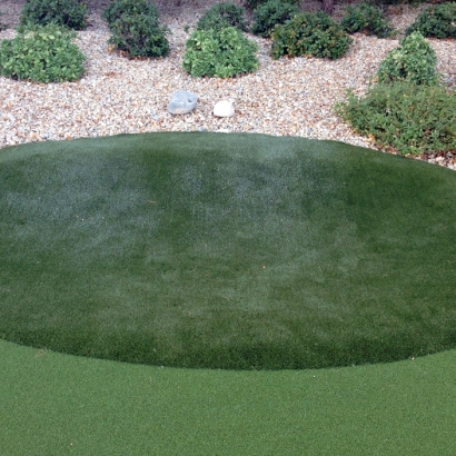 Grass Carpet Cottonwood, Arizona Design Ideas