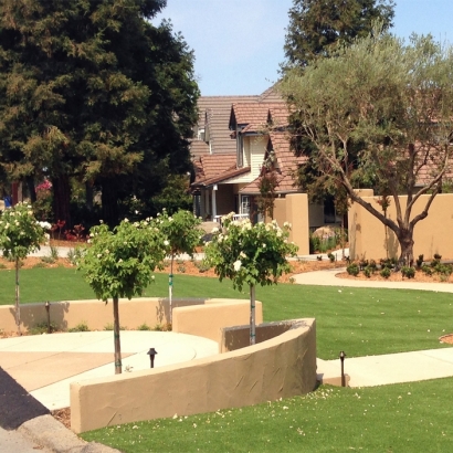 Grass Installation Buckeye, Arizona Landscape Photos, Front Yard Ideas