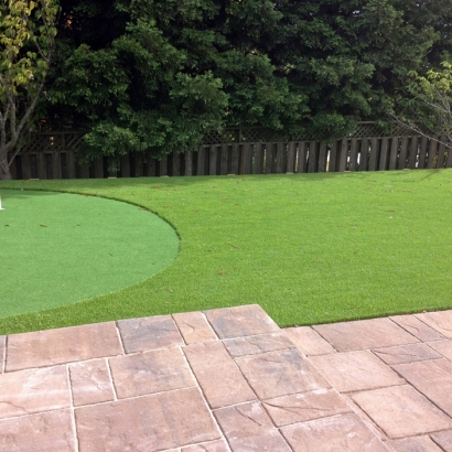 Grass Installation Pima, Arizona Backyard Putting Green, Backyard Design