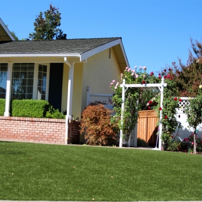Grass Installation Superior, Arizona Lawn And Landscape, Front Yard Landscaping Ideas