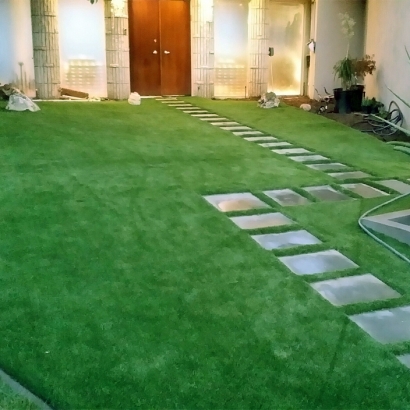 Grass Turf Cactus Forest, Arizona Rooftop, Landscaping Ideas For Front Yard