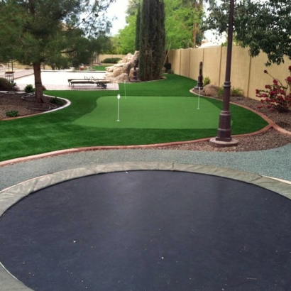 Green Lawn Ash Fork, Arizona Rooftop, Backyard Landscaping Ideas