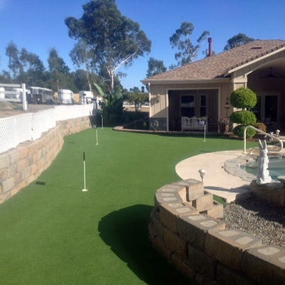 Lawn Services Amado, Arizona Putting Green Turf, Beautiful Backyards
