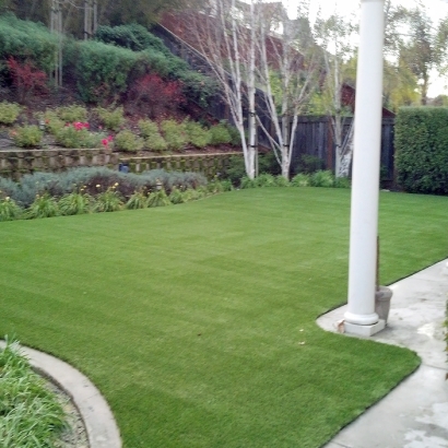 Lawn Services Sierra Vista, Arizona City Landscape, Backyard Landscape Ideas