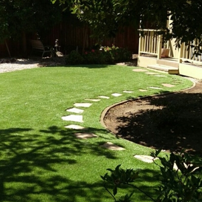 Plastic Grass Cornville, Arizona Lawn And Garden, Backyard Landscaping