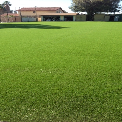 Synthetic Grass Cactus Flat, Arizona Bocce Ball Court, Recreational Areas