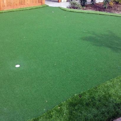 Synthetic Grass Chiawuli Tak, Arizona Office Putting Green