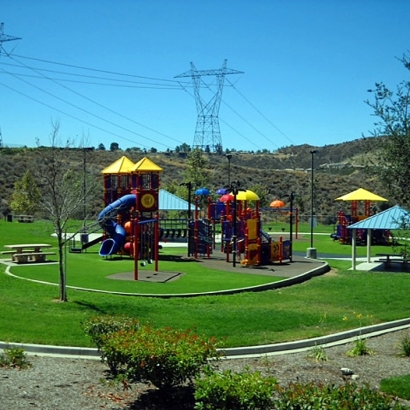 Synthetic Grass Cost Ali Molina, Arizona Playground, Recreational Areas