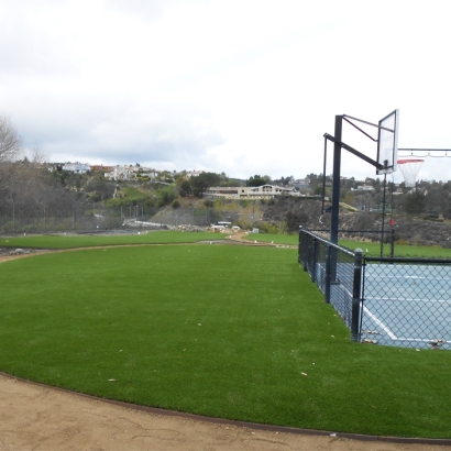 Synthetic Grass Cost Cave Creek, Arizona Red Turf, Commercial Landscape