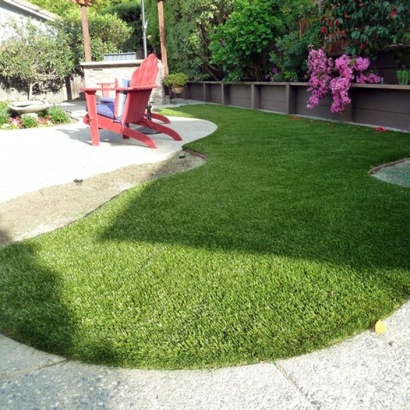 Synthetic Grass Cost Payson, Arizona Indoor Dog Park, Small Backyard Ideas
