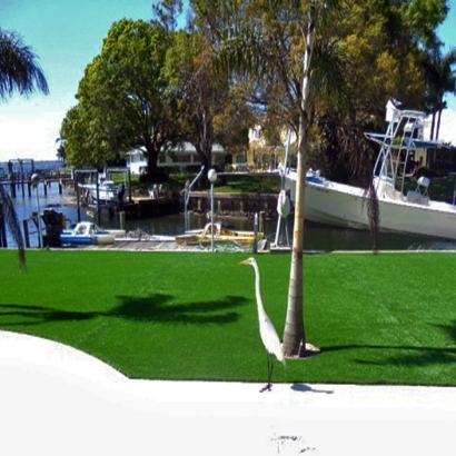 Synthetic Grass Cost Tolleson, Arizona Design Ideas, Backyard Landscaping Ideas