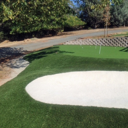 Synthetic Grass Cost Tonto Basin, Arizona Putting Green Flags, Front Yard