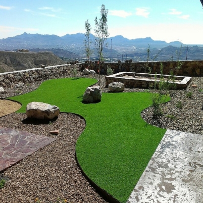 Synthetic Grass Hackberry, Arizona Dog Park, Backyard Design