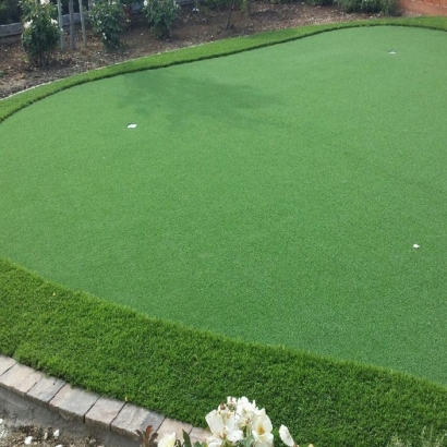 Synthetic Grass Pirtleville, Arizona Indoor Putting Green, Backyard Landscape Ideas