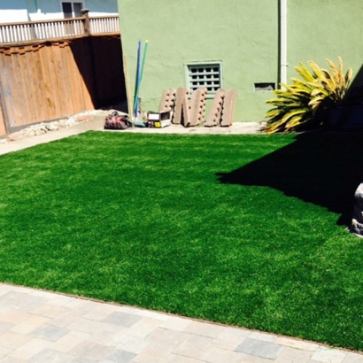 Synthetic Grass Toyei, Arizona Roof Top, Backyards