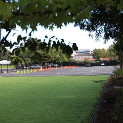 Synthetic Grass Vaiva Vo, Arizona Playground Turf, Commercial Landscape