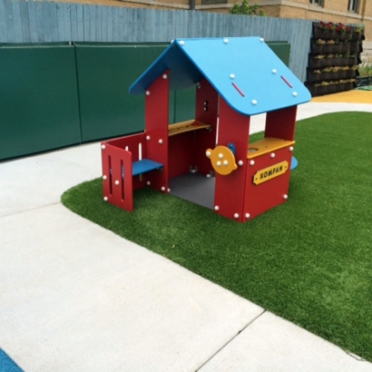 Synthetic Grass Wilhoit, Arizona Indoor Playground, Commercial Landscape