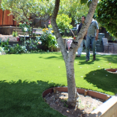 Synthetic Lawn Oxbow Estates, Arizona Landscaping Business, Backyard Landscaping
