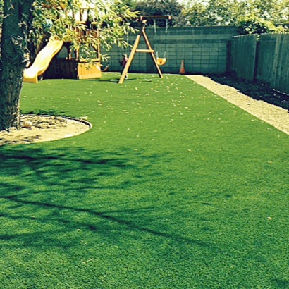 Synthetic Lawn Shungopavi, Arizona Landscape Ideas, Backyard