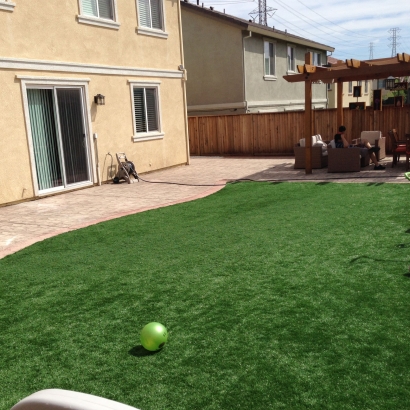 Synthetic Lawn Tortolita, Arizona Design Ideas, Backyard Design