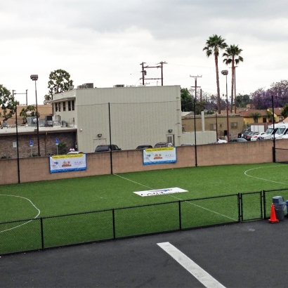 Synthetic Turf Gisela, Arizona Red Turf, Commercial Landscape