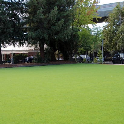 Synthetic Turf Picacho, Arizona City Landscape, Commercial Landscape
