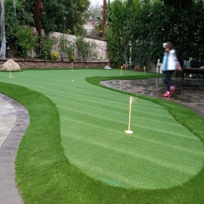 Synthetic Turf Quartzsite, Arizona Landscape Design, Backyard Design
