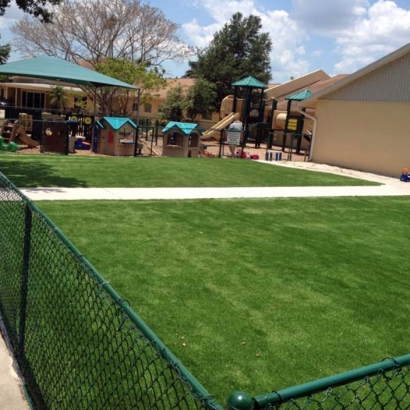 Synthetic Turf Supplier Sunizona, Arizona Roof Top, Commercial Landscape