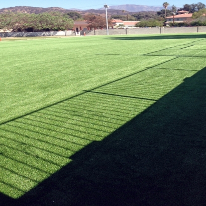 Synthetic Turf Tacna, Arizona Lawn And Garden