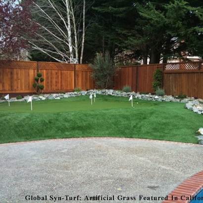 Turf Grass Queen Creek, Arizona Diy Putting Green, Backyard Landscape Ideas