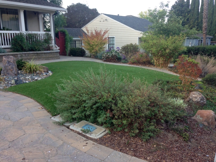 Artificial Grass Bluewater, Arizona Rooftop, Front Yard Landscaping Ideas