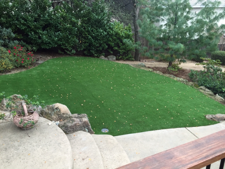 Artificial Grass Carpet Central Heights-Midland City, Arizona Paver Patio, Backyard Garden Ideas