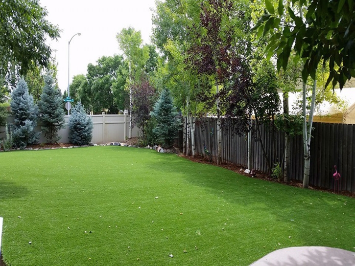 Artificial Grass Installation Douglas, Arizona City Landscape, Backyard Makeover