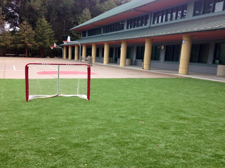 Artificial Grass Mohave Valley, Arizona Stadium, Commercial Landscape