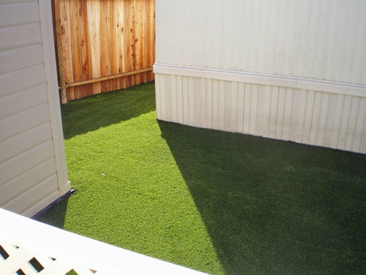 Artificial Grass San Simon, Arizona Pet Paradise, Beautiful Backyards