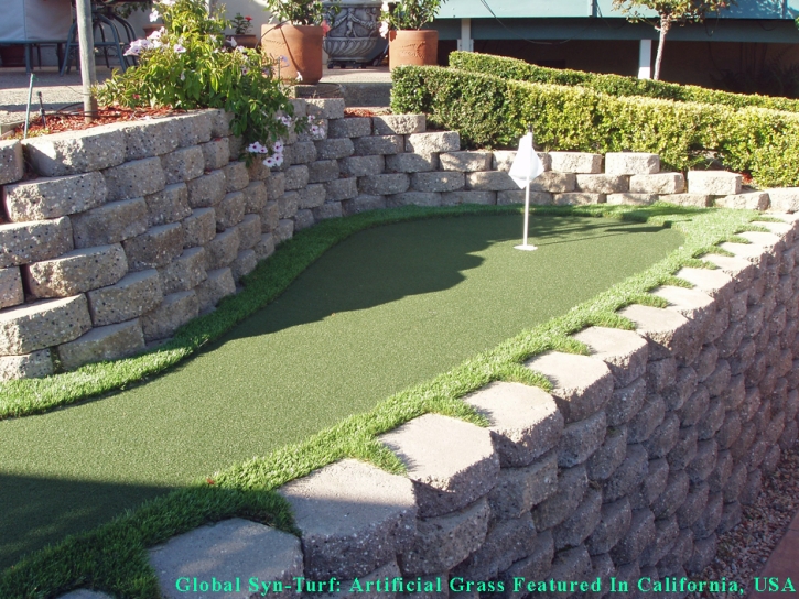 Artificial Grass Scottsdale, Arizona Rooftop, Backyard