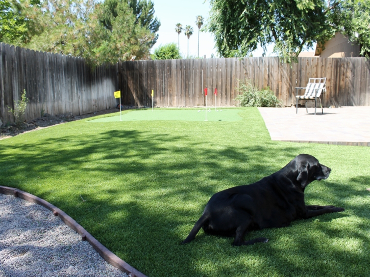 Artificial Lawn Kearny, Arizona Putting Green Carpet, Small Backyard Ideas