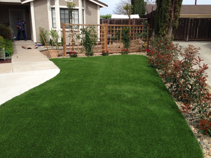 Artificial Lawn Spring Valley, Arizona Landscape Ideas, Landscaping Ideas For Front Yard