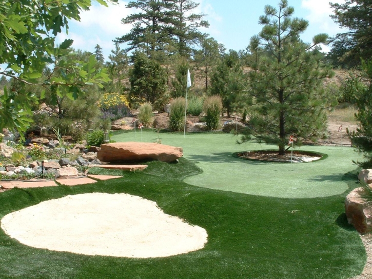 Artificial Lawn Sun Valley, Arizona Roof Top, Backyard Landscaping