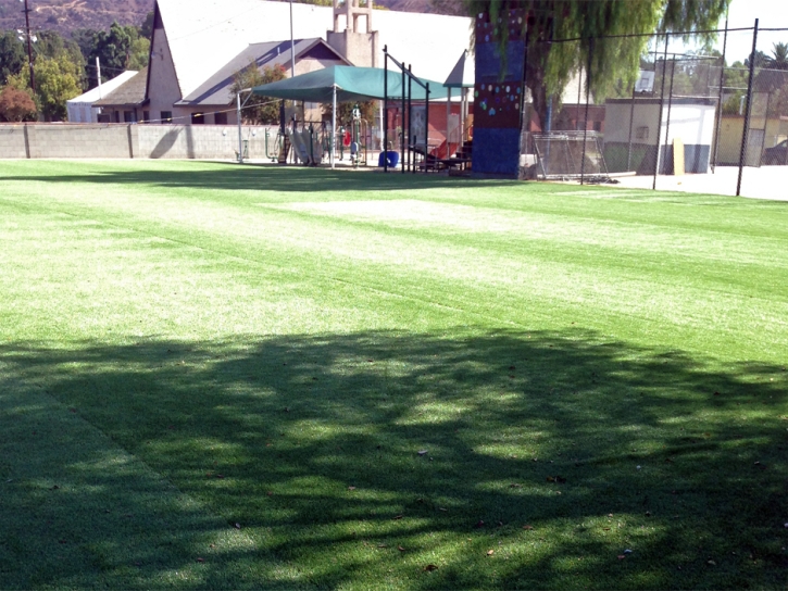 Artificial Turf Cost Canyon Day, Arizona Lawns, Recreational Areas